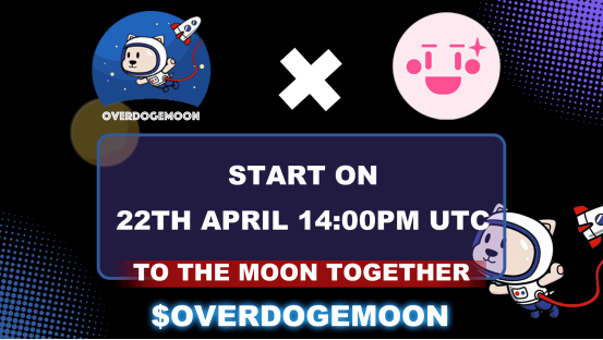 OverDogeMoon ready to launch!  Destination: The Moon!